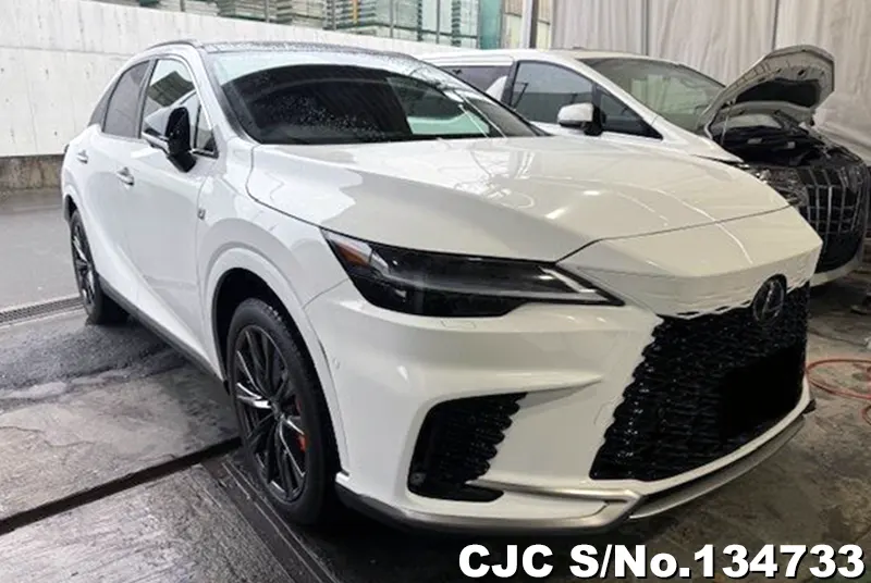 2025 Lexus / RX 350 Stock No. 134733