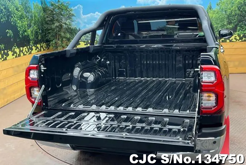 2021 Toyota / Hilux Stock No. 134750