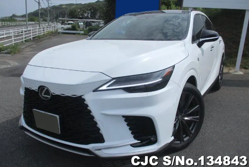 2025 Lexus / RX 350 Stock No. 134843