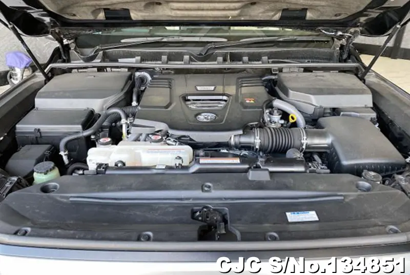2023 Toyota / Land Cruiser Stock No. 134851