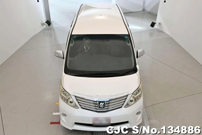 2011 Toyota / Alphard Stock No. 134886