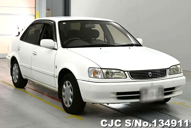 1999 Toyota / Corolla Stock No. 134911