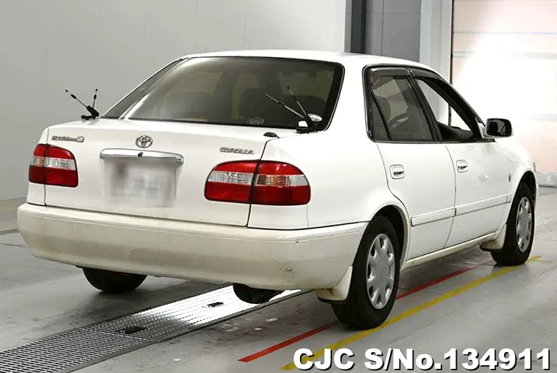 1999 Toyota / Corolla Stock No. 134911