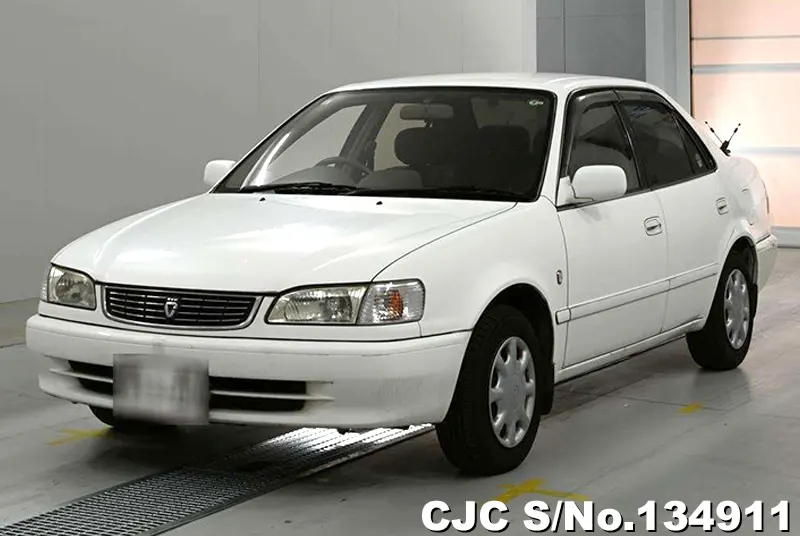 1999 Toyota / Corolla Stock No. 134911