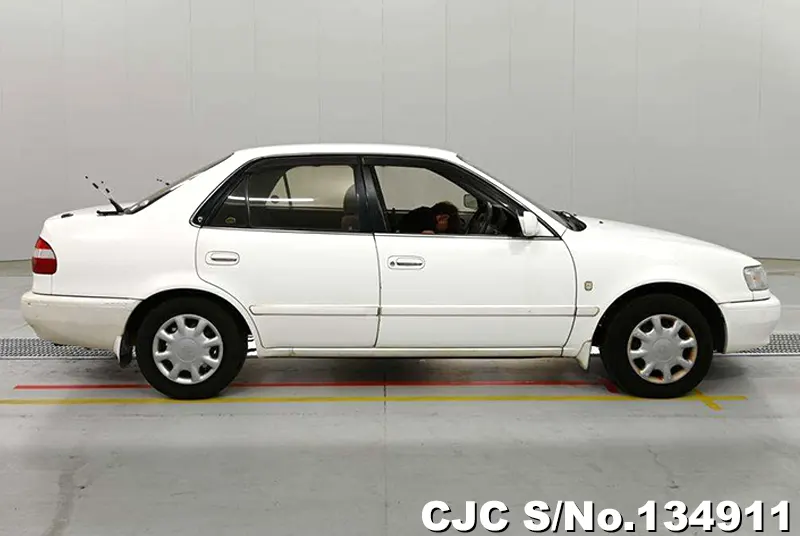 1999 Toyota / Corolla Stock No. 134911