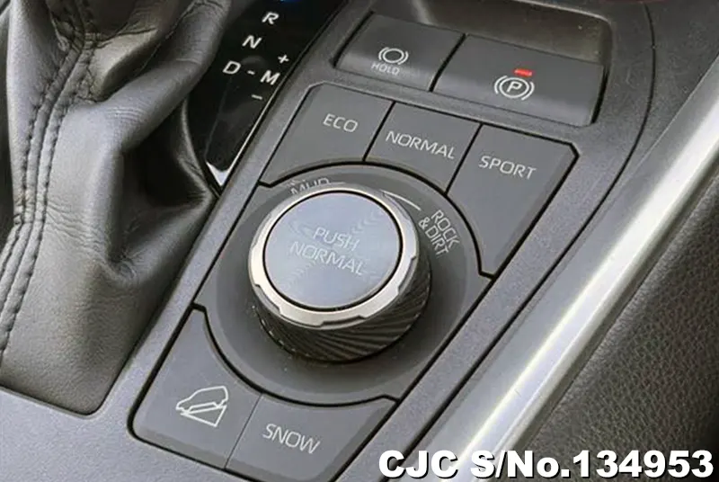 2021 Toyota / Rav4 Stock No. 134953