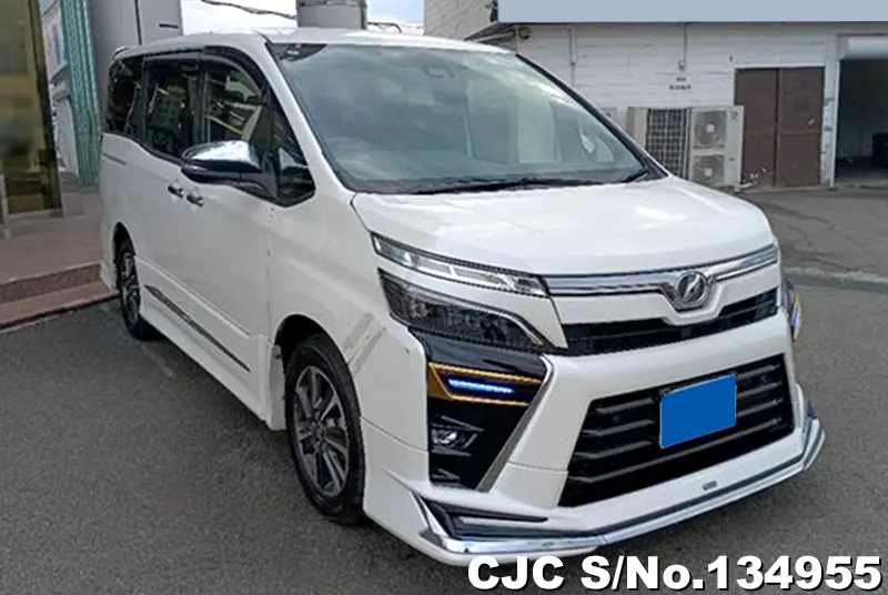 Toyota / Voxy 2019