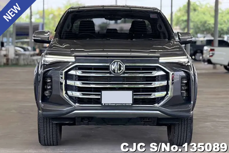 MG Extender in Gray for Sale Image 4