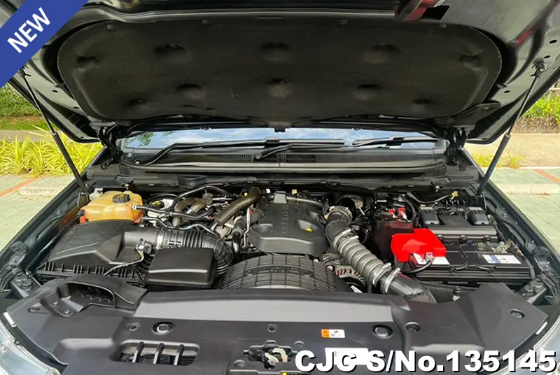 2019 Ford / Ranger Stock No. 135145