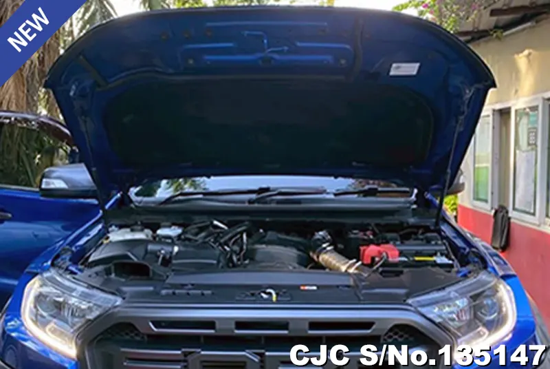 Ford Ranger in Blue for Sale Image 11