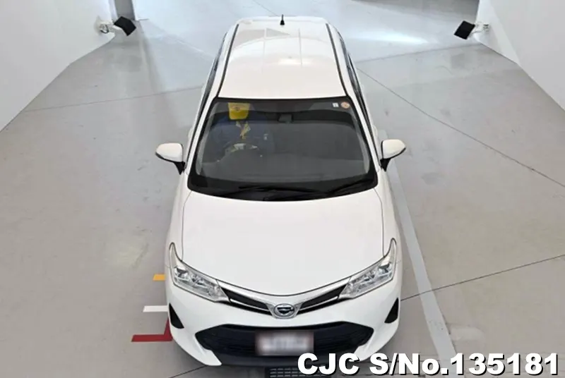 2019 Toyota / Corolla Fielder Stock No. 135181