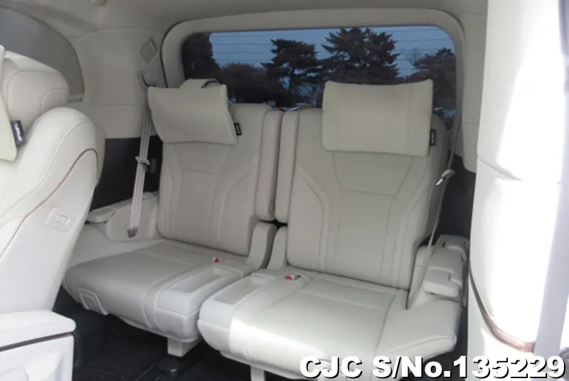 2025 Lexus / LM500h Stock No. 135229