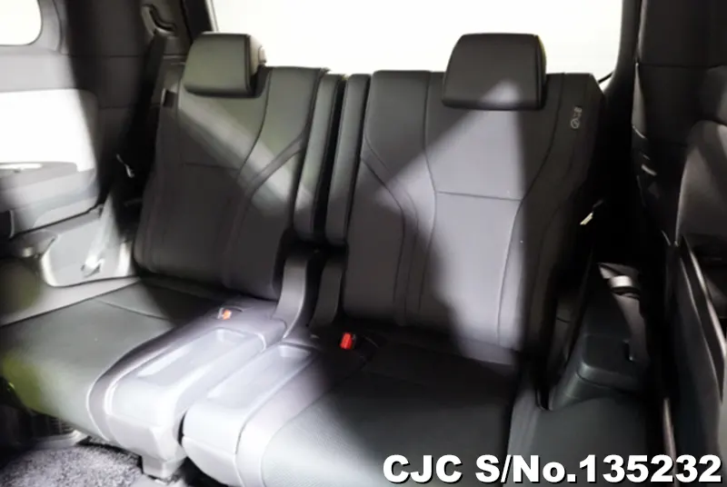 2024 Lexus / LM500h Stock No. 135232