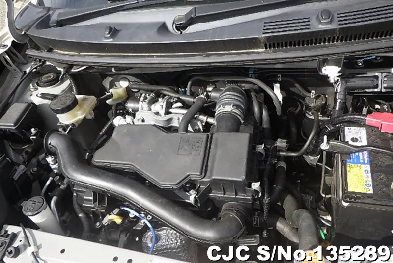 2020 Toyota / Passo Stock No. 135289