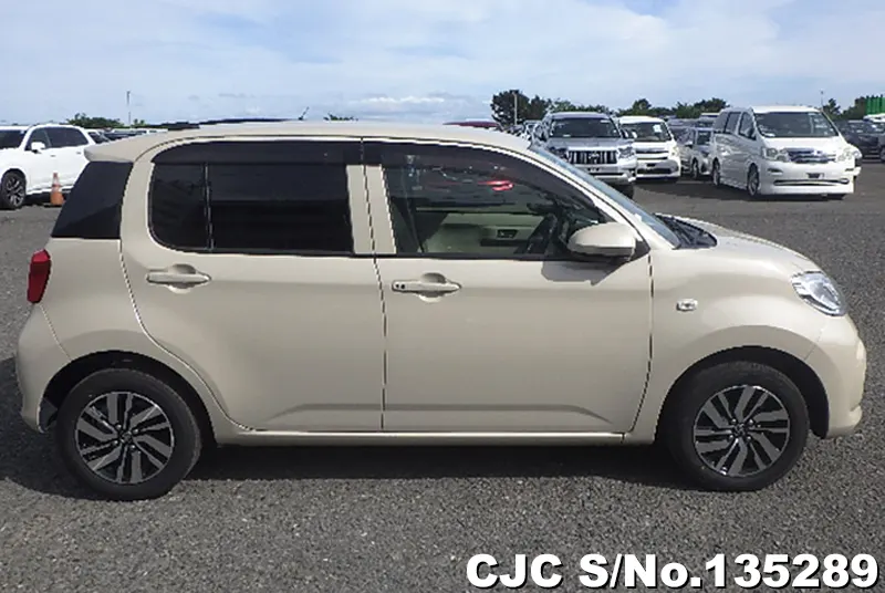 2020 Toyota / Passo Stock No. 135289