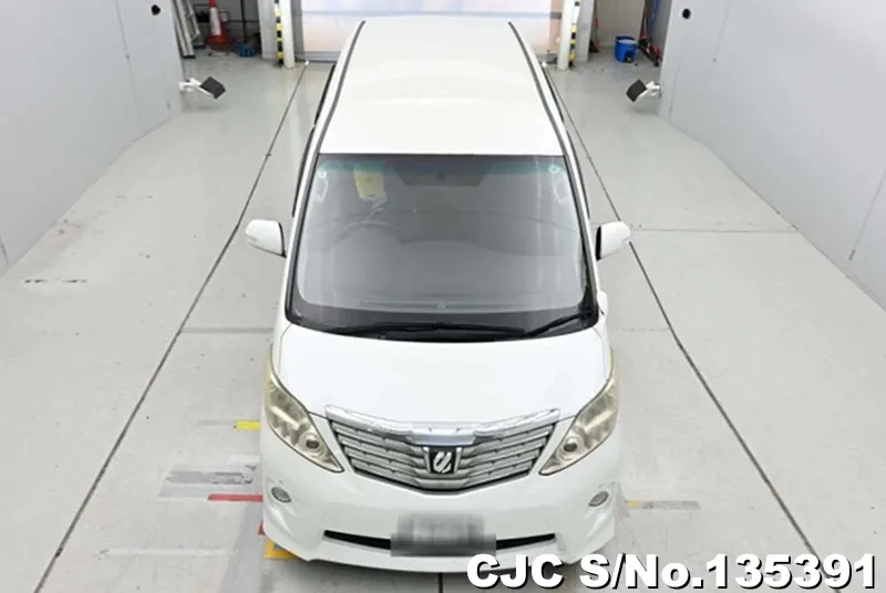 2010 Toyota / Alphard Stock No. 135391