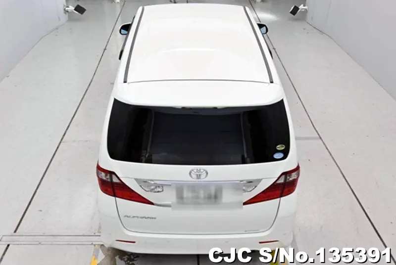 2010 Toyota / Alphard Stock No. 135391