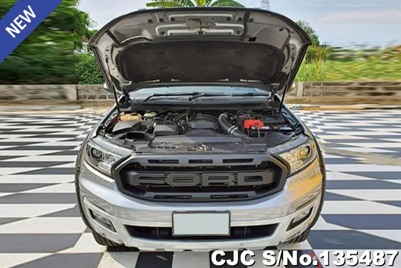 2021 Ford / Everest Stock No. 135487