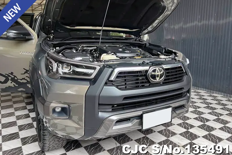 2021 Toyota / Hilux / Revo Rocco Stock No. 135491