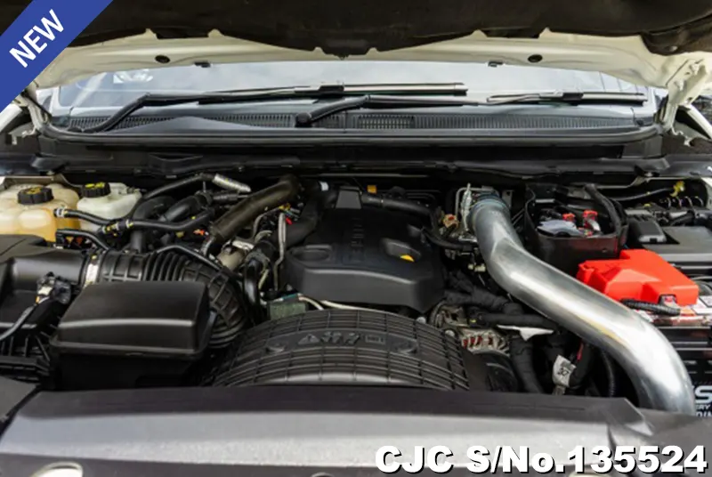 2018 Ford / Everest Stock No. 135524