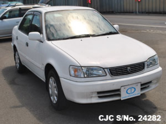 2000 Toyota / Corolla Stock No. 24282