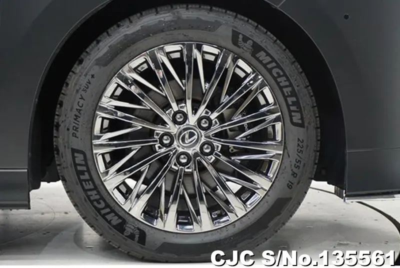 2025 Lexus / LM500h Stock No. 135561