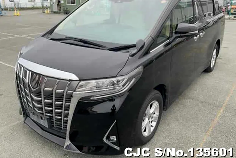2020 Toyota / Alphard Stock No. 135601