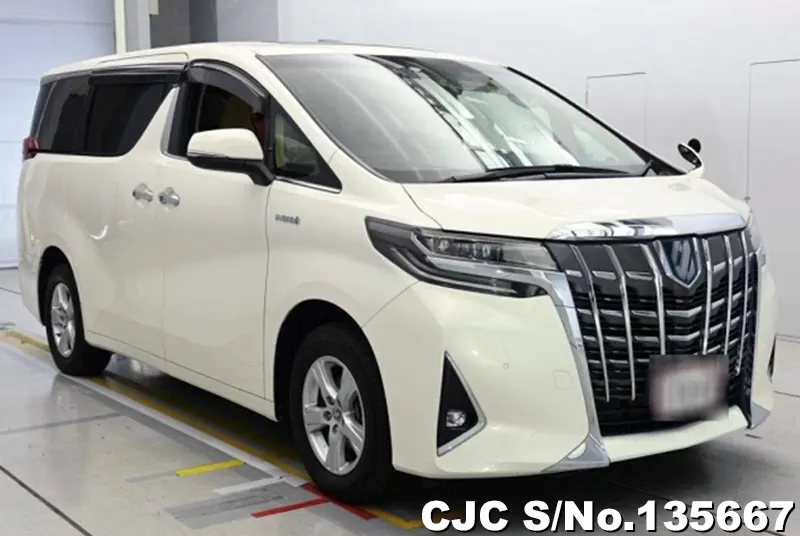 2021 Toyota / Alphard Stock No. 135667