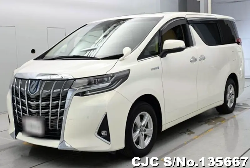2021 Toyota / Alphard Stock No. 135667