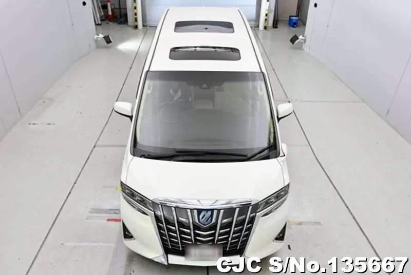 2021 Toyota / Alphard Stock No. 135667