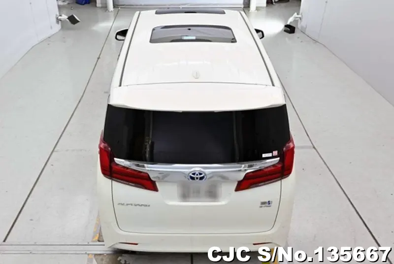 2021 Toyota / Alphard Stock No. 135667