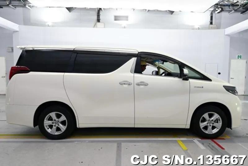 2021 Toyota / Alphard Stock No. 135667