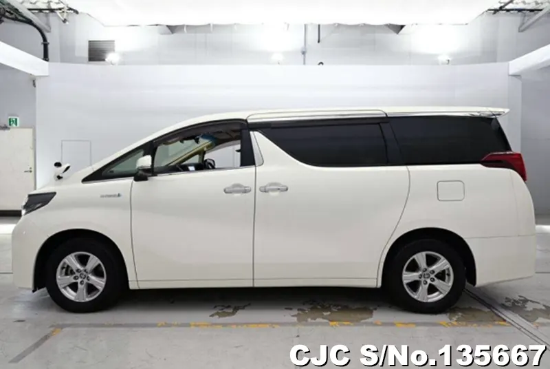 2021 Toyota / Alphard Stock No. 135667