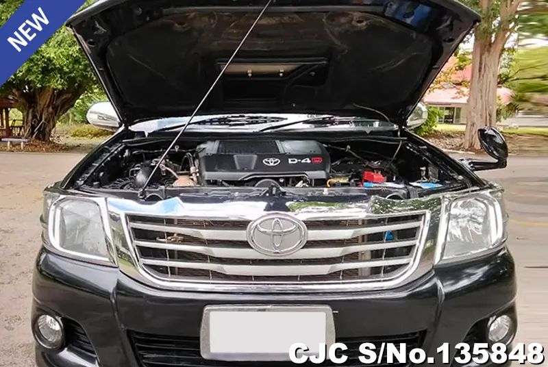2013 Toyota / Hilux / Vigo Stock No. 135848