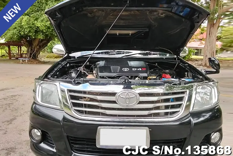 2013 Toyota / Hilux / Vigo Stock No. 135868