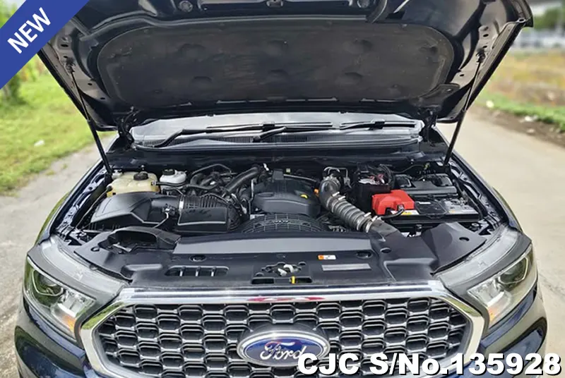 2022 Ford / Everest Stock No. 135928