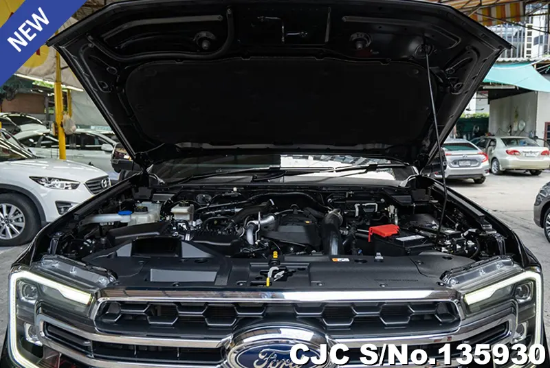 2024 Ford / Everest Stock No. 135930