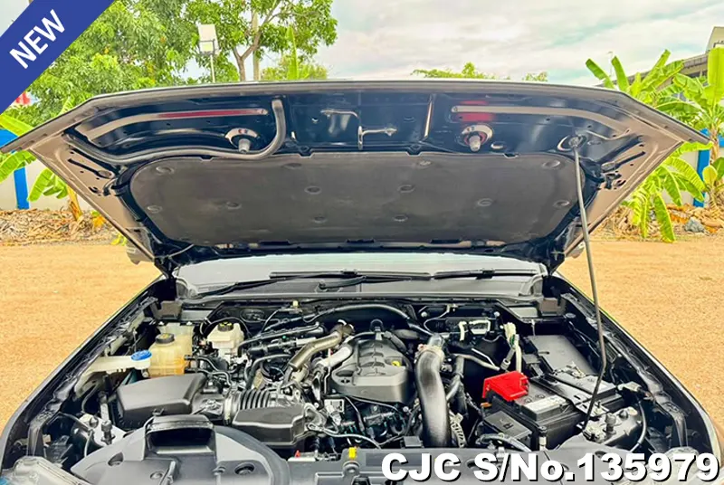 2024 Ford / Ranger / Raptor Stock No. 135979