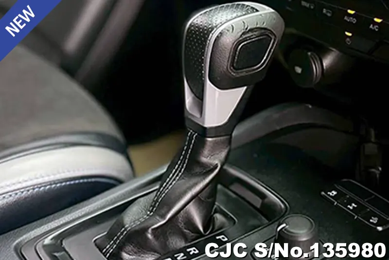 2019 Ford / Ranger / Raptor Stock No. 135980