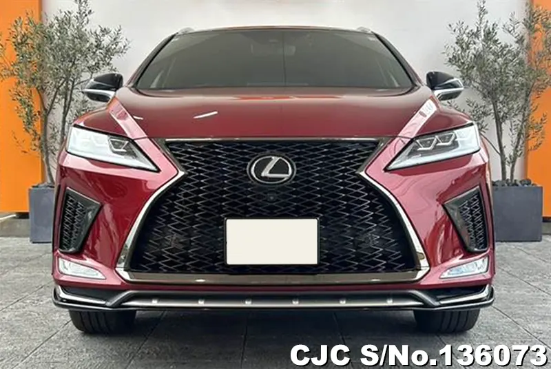 2021 Lexus / RX 300 Stock No. 136073