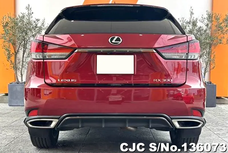 2021 Lexus / RX 300 Stock No. 136073