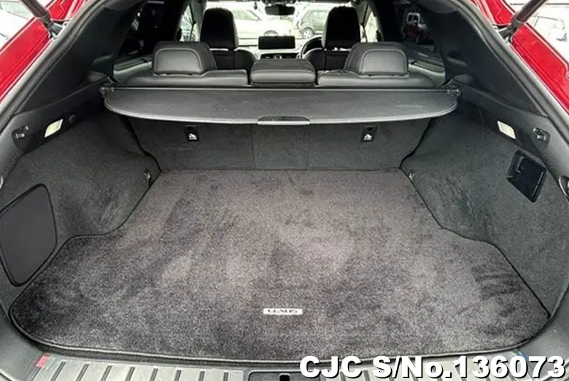 2021 Lexus / RX 300 Stock No. 136073