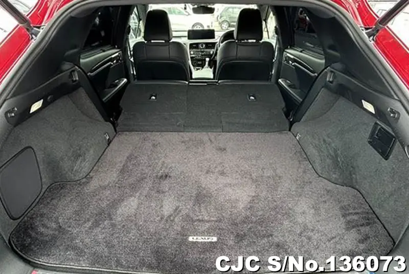 2021 Lexus / RX 300 Stock No. 136073