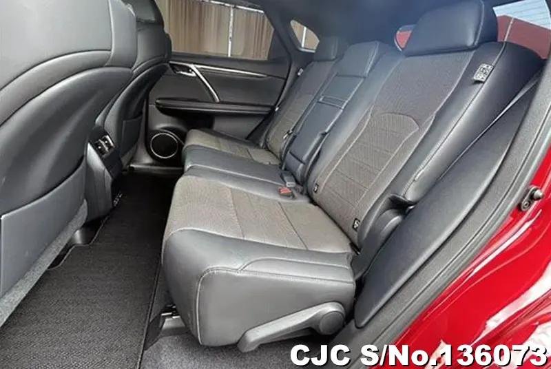 2021 Lexus / RX 300 Stock No. 136073