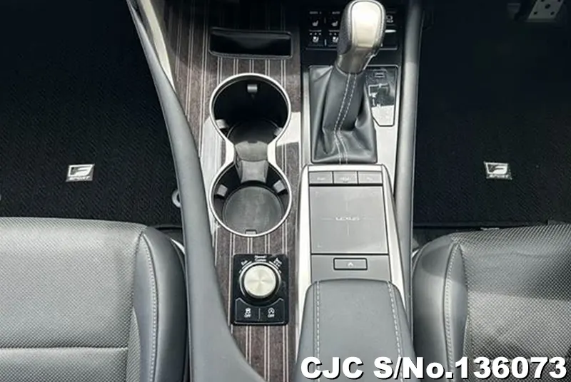 2021 Lexus / RX 300 Stock No. 136073