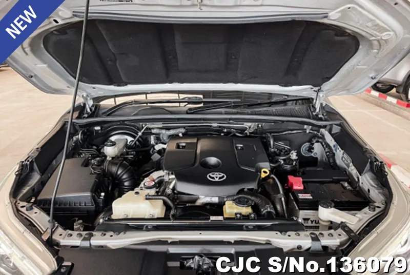2019 Toyota / Hilux / Revo Rocco Stock No. 136079