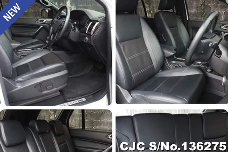 2021 Ford / Everest Stock No. 136275
