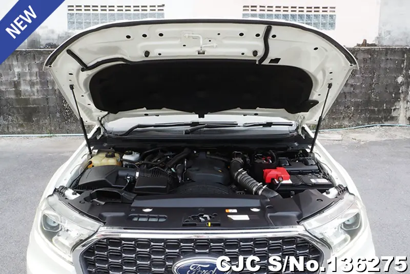 2021 Ford / Everest Stock No. 136275