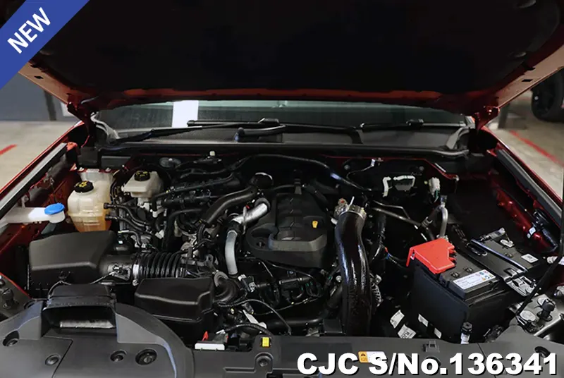 2024 Ford / Everest Stock No. 136341