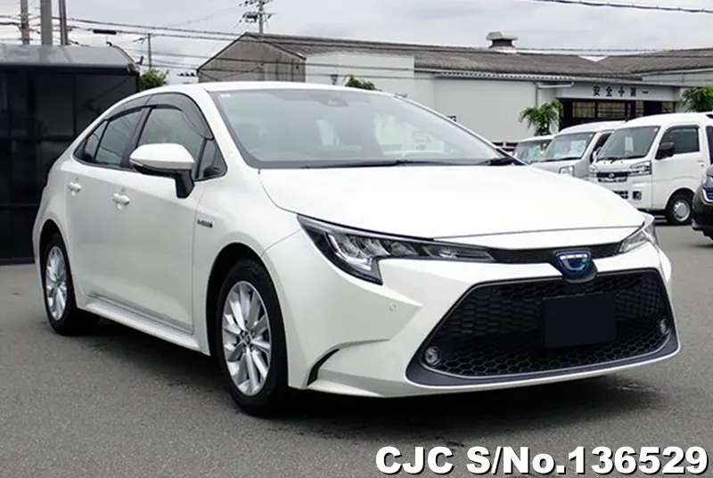 2019 Toyota / Corolla Stock No. 136529